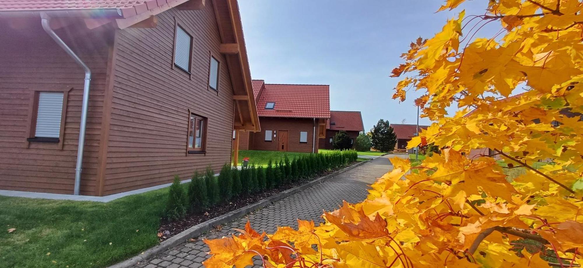 Premiumferienhaus Bhakti Hasselfelde Kültér fotó